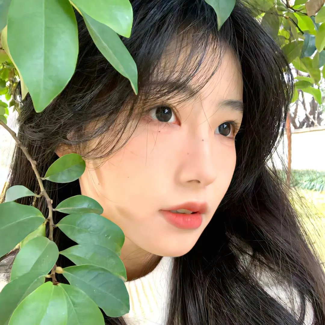 跃动青春