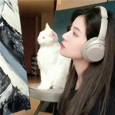 拳击